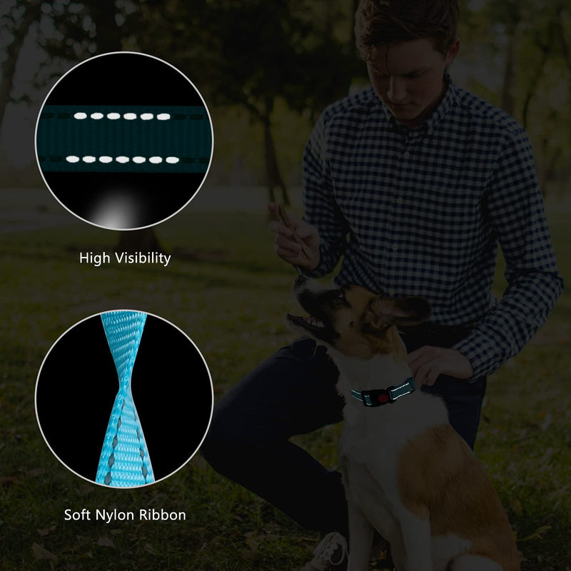 Martingale Dog Collar and Leash Set Martingale Collars for Dogs Reflective Martingale Collar for Small Medium Large Dogs Sky Blue - BeesActive Australia