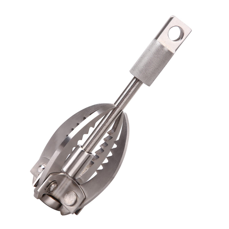 Brand Registry 4 Claws Grappling Hooks - BELSONA Survival Claw Multifunctional Stainless Steel Hook - BeesActive Australia