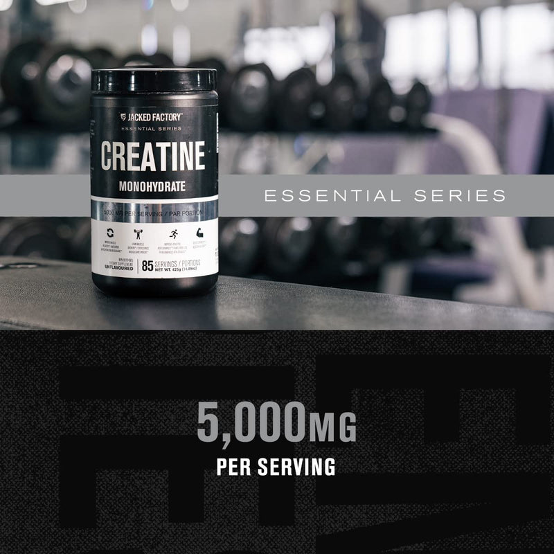 Jacked Factory Creatine Monohydrate Powder 425g - Creatine Supplement for Muscle Growth, Increased Strength, Enhanced Energy Output and Improved Athletic Performance 85 Servings, Unflavored Powder - 85 Servings - BeesActive Australia
