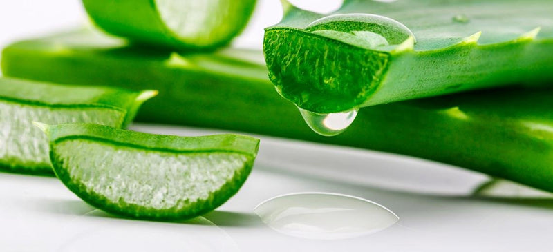 100% Pure Aloe Vera Gel, 500ml. Made from Fresh Aloe Vera Leaves from Organic Farming, 0% added water, no preservatives, no perfumes - BeesActive Australia