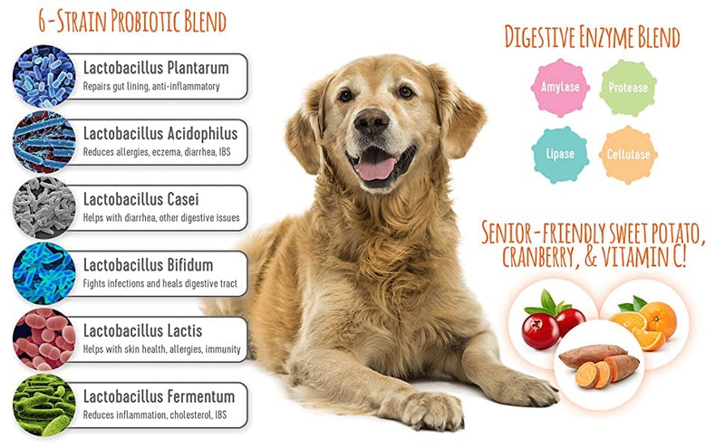 Extend® Probiotics for Senior Dogs - Digestive Health, Immune, Allergy & Skin Support - Reduce Gastric Distress, Bloating, Constipation, Diarrhea - Natural, Clinically-Proven, Made in USA - BeesActive Australia