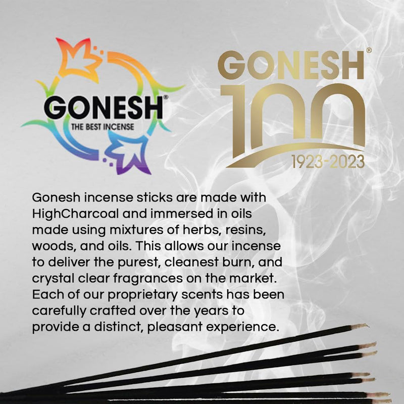 Gonesh - Extra Rich Scented Incense Sticks - Non-Toxic 10” Slow Burn Aromatic Sticks - Patchouli - 100 Pack Single 100-Stick Pack - BeesActive Australia