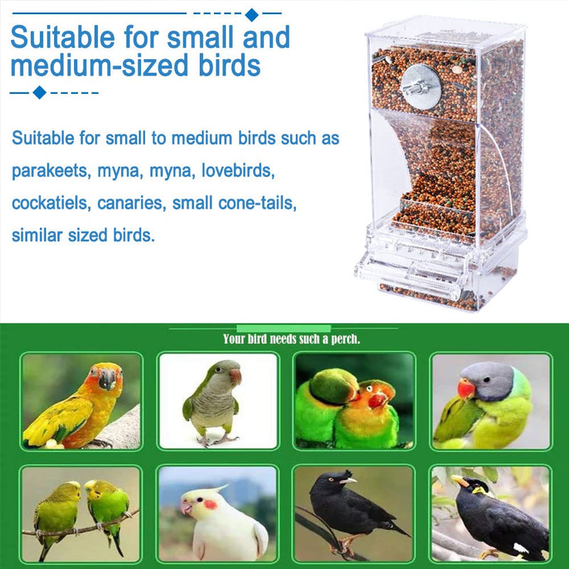 Hamiledyi No Mess Bird Feeders Automatic Parrot Feeder Drinker Acrylic Seed Food Container Parakeet Water Dispenser Cage Accessories for Lovebirds Budgies Canary Finch Transparent Bird Feeder with 5 Chew Balls - BeesActive Australia