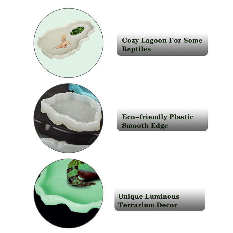 Tfwadmx Reptile Food and Water Bowl Set Luminous Bearded Dragon Dishes Tortoise Feeder Lizard Habitat Large and Small Amphibian Feeding Plates Terrarium DéCor for Turtle Gecko Snake Tegu Iguana 2 Pcs White - BeesActive Australia