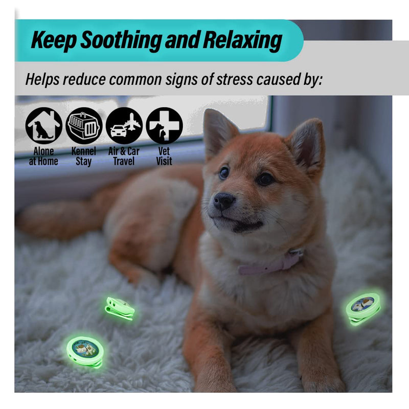 KN FLAX Aegis Calming Clip for Dogs (Glow-in-The-Dark), Anxiety Relief Pheromone Diffuser [ Made in Korea], Lasts 60 Days, Reducing Stress During Loud Noises and Separation for All Sized Dog For You - BeesActive Australia