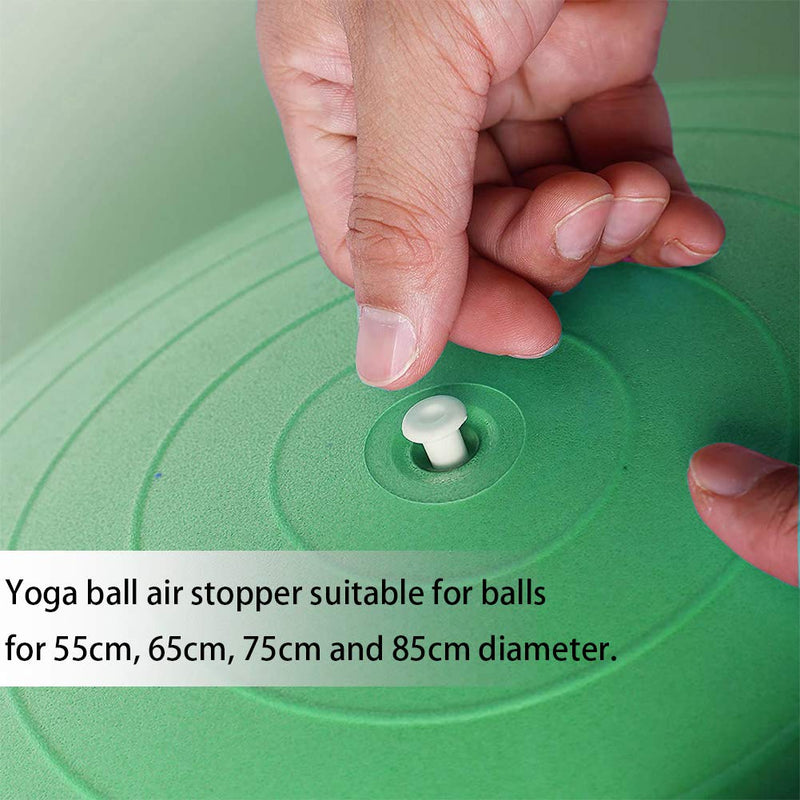 Lxnoap SogYupk 10-Pieces Fitness Exercise Sport Yoga Ball Inflatable Bed Pool Air Stopper Plug Pin - BeesActive Australia