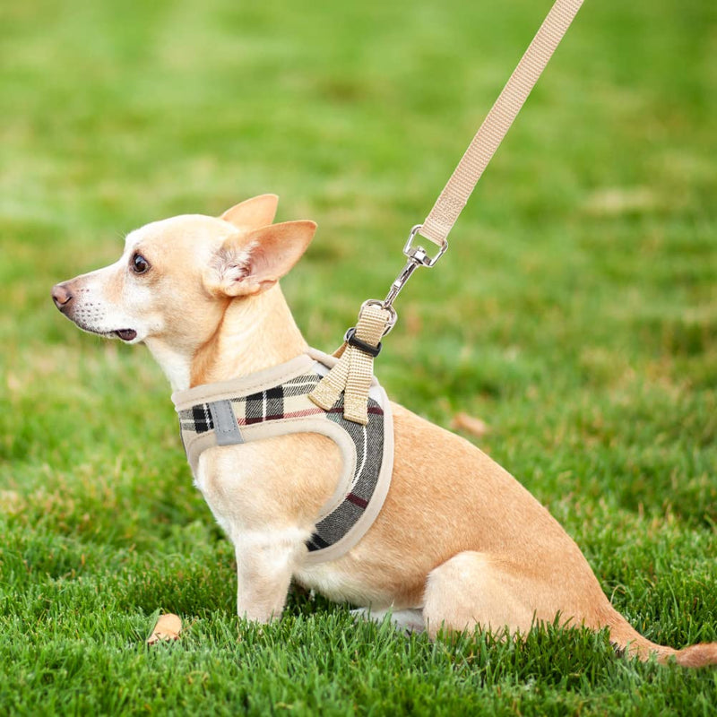 PUPTECK Small Dog Harness and Leash - No Pull Soft Mesh Step-in Puppy Harness, Reflective Adjustable for Small Dogs Cats Walking Beige - BeesActive Australia
