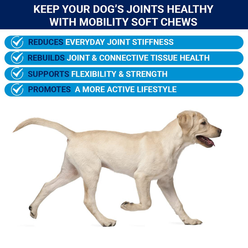Lively Paws™ Mobility 10 Hip & Joint Care Supplement for Dogs- Soft Chews with Glucosamine, MSM, Green-Lipped Mussel, Manganese, Chondroitin & Vitamin C - BeesActive Australia