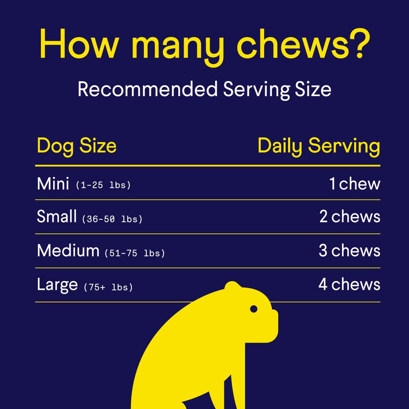 Finn Allergy & Itch Supplement for Dogs | Supports Seasonal Allergies, Itchy Skin, & Immunity | Wild Alaskan Salmon Oil, Bee Propolis & Probiotics | 90 Soft Chews - BeesActive Australia