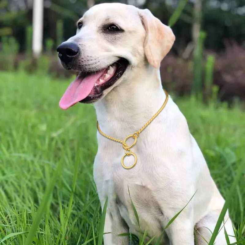 Filhome Metal Chain Dog Choke Collar, Puppy Pet Snake Chain Stainless Steel Slip Chain Collar for Dogs Walking Training¡­ 3.0mm x 16.0 inch Gold - BeesActive Australia
