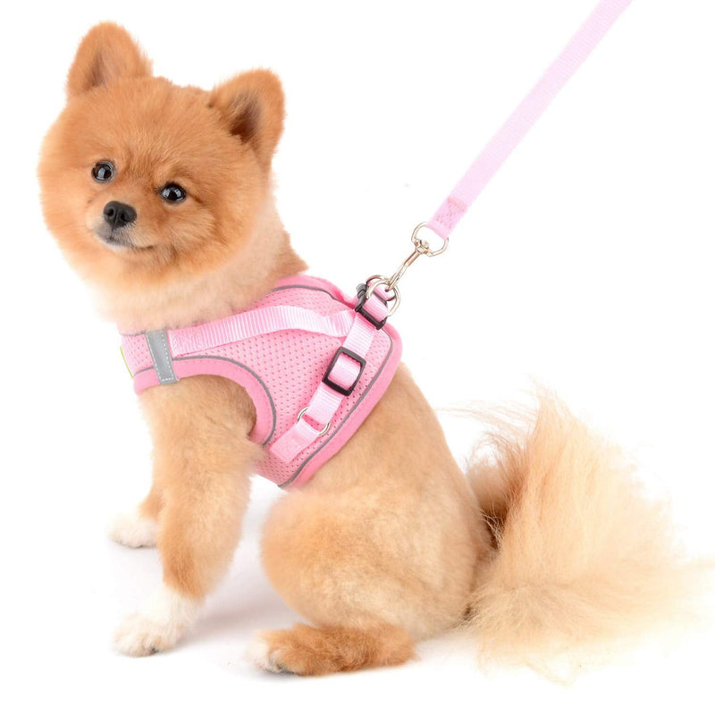 SMALLLEE_LUCKY_STORE Soft Mesh Puppy Harness Vest,Step-in Small Dog/Cat Harness and Leash Set for Walking Outdoor XS(chest 10.0",for 1-3 lbs) pink - BeesActive Australia