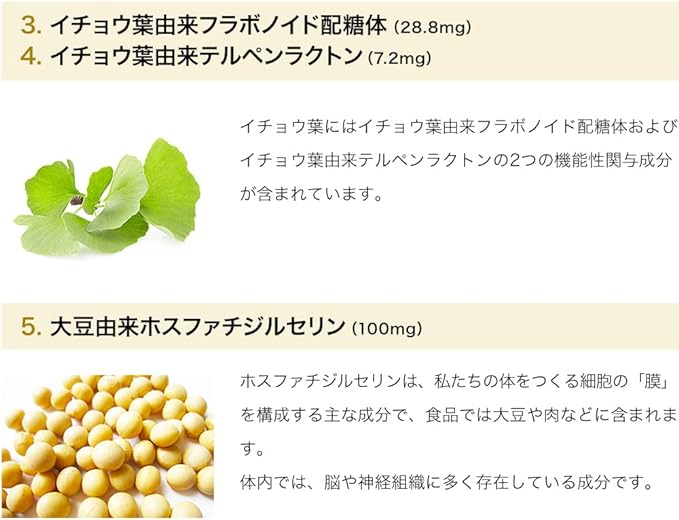 Yamada Bee Farm Non-Arts Bee (90 bulbs) [Propolis Supplement Phosphatidiserin Curcumin Ginkgo Biloba Centella Centella Coffee Berry] - BeesActive Australia