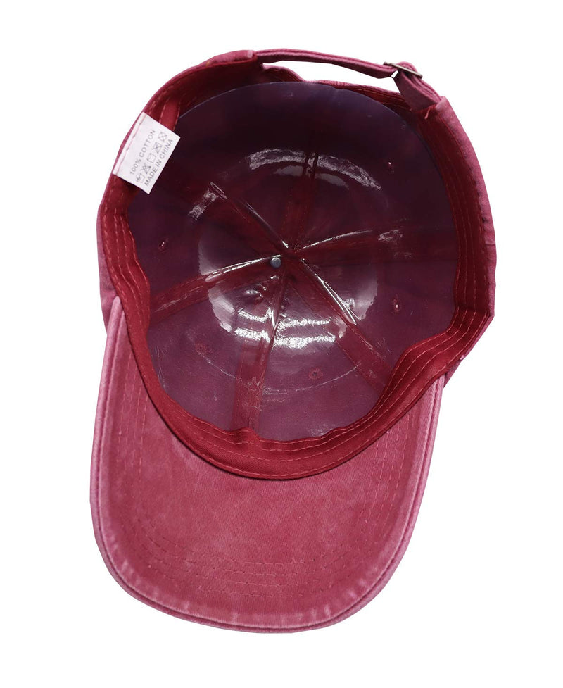All I Care About is My Dog and Like Maybe 3 People Baseball Cap, Adjustable Washed Classic Vintage Denim Hat My Dog and Like Maybe 3 People-burgundy One Size - BeesActive Australia