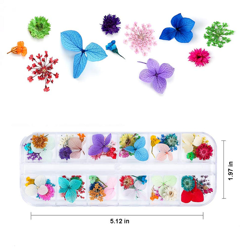 iFancer 108 Pcs Dried Flowers for Resin Nail Art 62 Colors 3D Dry Flowers for Nails 2 Boxes Small Tiny Dried Flowers for Nail Art Little Pressed Real Natural Flower Nail Art Design Decoration Supplies 2 Boxes 108pcs - BeesActive Australia