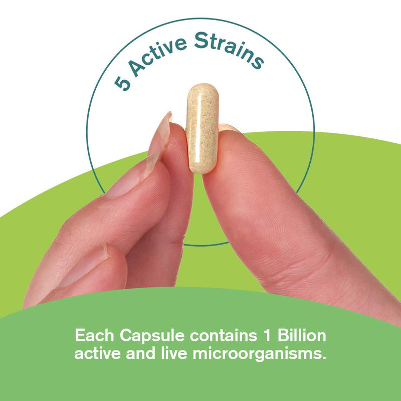 Premium Bio Cultures Complex 180 Capsules (6 Month�s Supply) | High Strength Probiotic | Vegan Multi Strain Probiotic | Lactobacillus Acidophilus & Bifidobacterium | Supports Gut & Digestive Health - BeesActive Australia