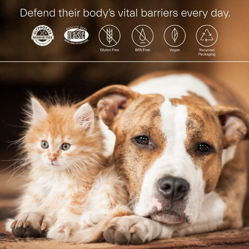 ION* Intelligence of Nature Gut Support for Pets | Strengthens Digestion, Supports Kidneys, Aids Immune Function, and Defends from Food Toxins 16 Ounce - BeesActive Australia