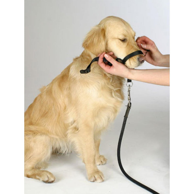 Dog Head Collar, Adjustable and Padded, No-Pull Training Tool for Dogs on Walks, Includes 1 Dog Leash and Free Training Guide, 3 S Black - BeesActive Australia