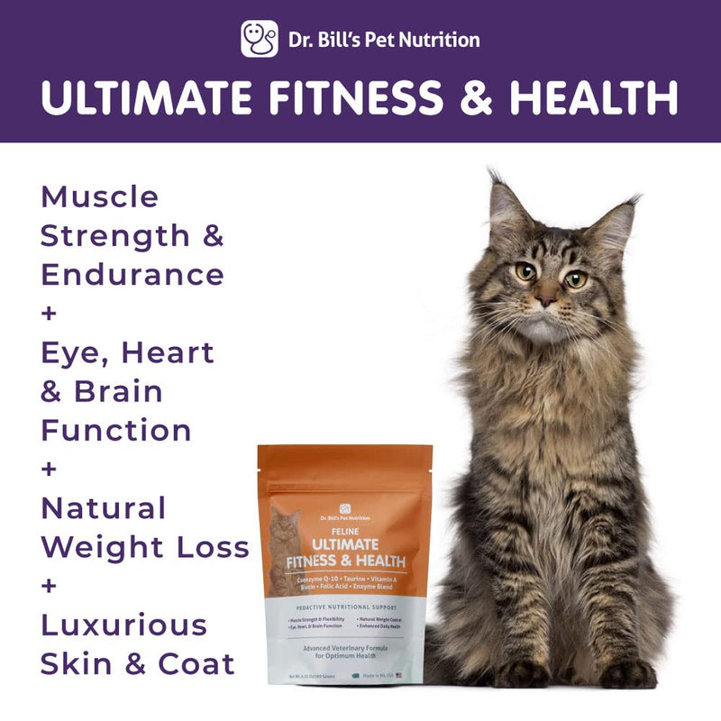 Dr. Bill’s Feline Ultimate Fitness & Health | Pet Supplement | Complete Multivitamin for Cats | Includes Coenzyme Q-10, Vitamin E, Vitamin D-3, Biotin, Folic Acid, and Hyaluronic Acid - BeesActive Australia