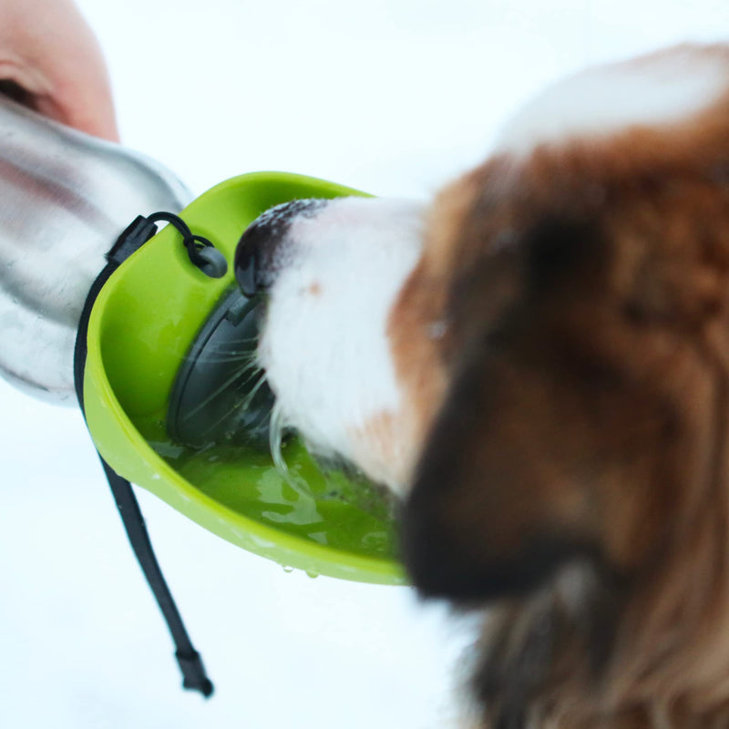 Messy Mutts Stainless Steel Travel Water Bottle with Silicone Flip Up Bowl | Pet Travel Necessity | Camping, Hiking, Walking Accessory | 24 oz / 700mL | Blue - BeesActive Australia