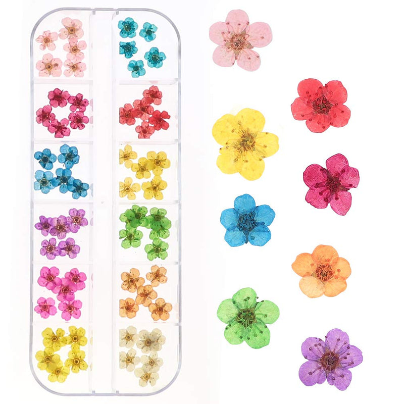 LIMGLIM 132pcs Nail Dried Flowers Resin Accessories 3D Nail Stickers Supplies 3 Boxes 36 Colors Mini Natural for Nail Art Supplies Decals Mixed Accessories, Starry Flower - BeesActive Australia