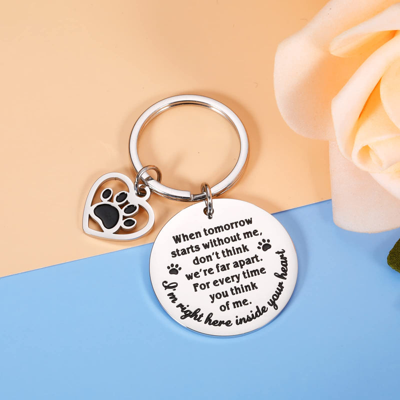 Pet Memorial Gifts, Dog Cat Remembrance Keychain, Loss of Dog Cat Sympathy Gifts Silver - BeesActive Australia