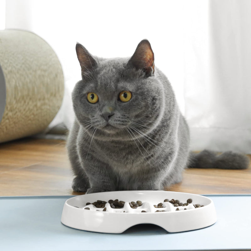MSBC Slow Feeder Bowl, Fishbone Fun Feeder Dish for Cats and Puppies, Anti-Gulping Interactive Cat Food Bowl, Non-Slip Puzzle Pet Bowl for Slow Eating, Melamine Bowl Preventing Choking … White - BeesActive Australia