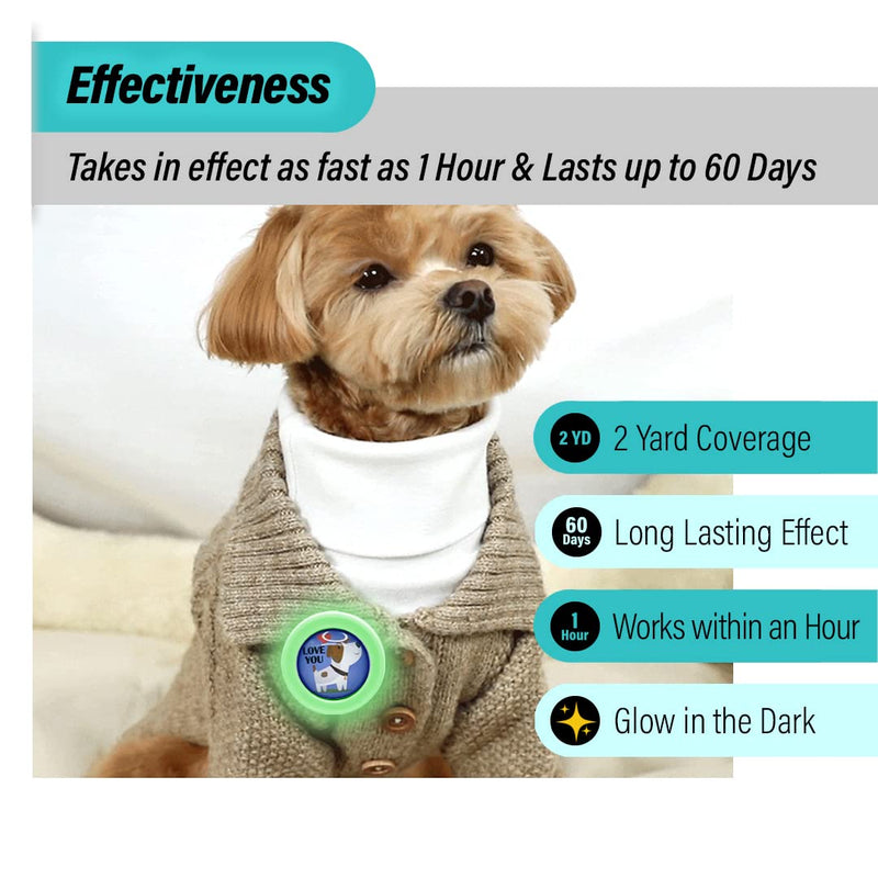 KN FLAX Aegis Calming Clip for Dogs (Glow-in-The-Dark), Anxiety Relief Pheromone Diffuser [ Made in Korea], Lasts 60 Days, Reducing Stress During Loud Noises and Separation for All Sized Dog For You - BeesActive Australia