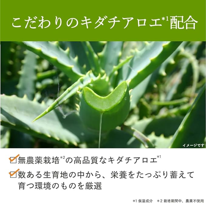 ALOE GARDEN Aloe Garden Skin Care Balm for Moisturizing 1.1 oz (30 g) - BeesActive Australia