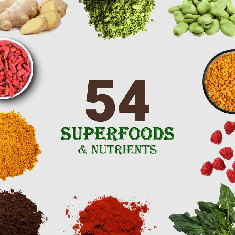 UpNourish Plant-Based Protein Meal Replacement Shake! Keto, Vegan-Friendly Lifestyles. Gluten & Dairy-Free Smoothie with Essential Vitamins, Minerals, and Low Carbs - Chocolate, 15 Servings Creamy Chocolate - BeesActive Australia