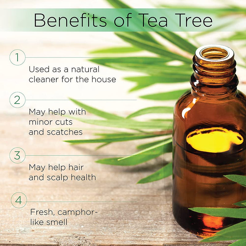 Radha Beauty Tea Tree Essential Oil 4 oz. - 100% Pure & Natural Premium Melaleuca Therapeutic Grade - Great with Soaps, Shampoo, Body Wash, Aromatherapy - Treatment for Acne, Nails - BeesActive Australia