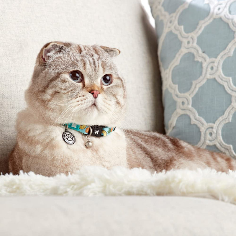 Max & Molly Fun & Whimsy Cat Collar w/ Jingle Bell, Breakaway Safety Buckle, Adjustable Sizing & Smart ID Personalized Tag for Girl or Boy Cats/Kittens, Sweet Pineapple Design - BeesActive Australia