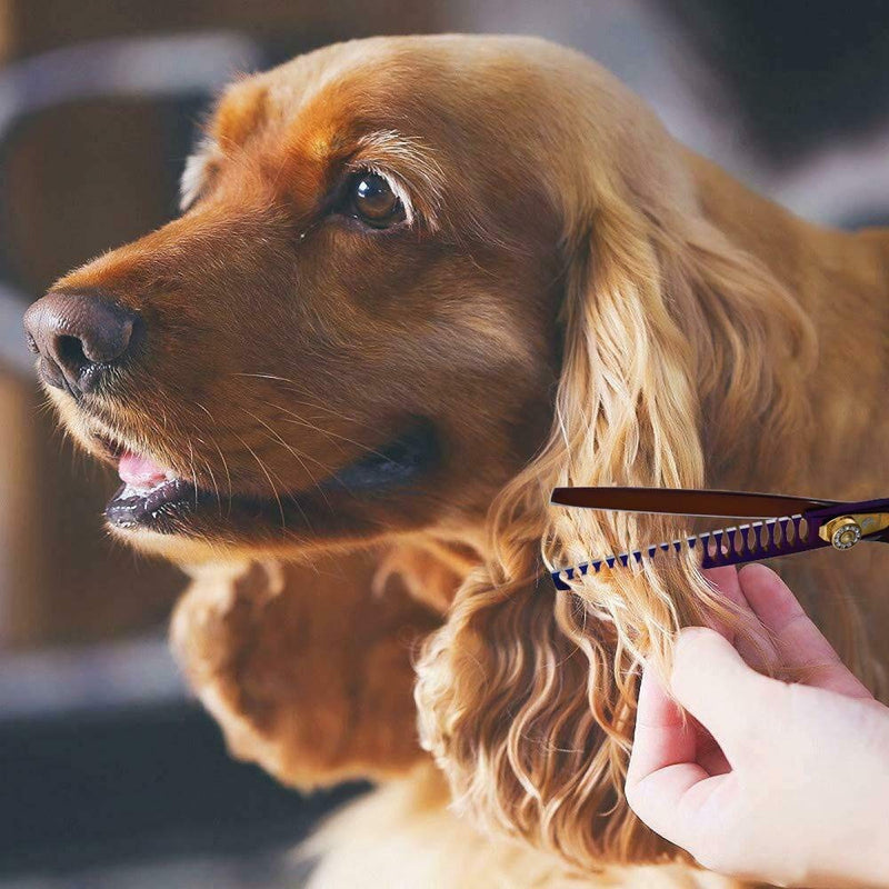 Purple Dragon Professional 7.0/8.0 inch Pet Grooming Hair Cutting Scissor and 6.75/8.0 inch Dog Chunker Shear - Japan 440C Stainless Steel for Pet Groomer or Family DIY Use Chunker scissor - BeesActive Australia