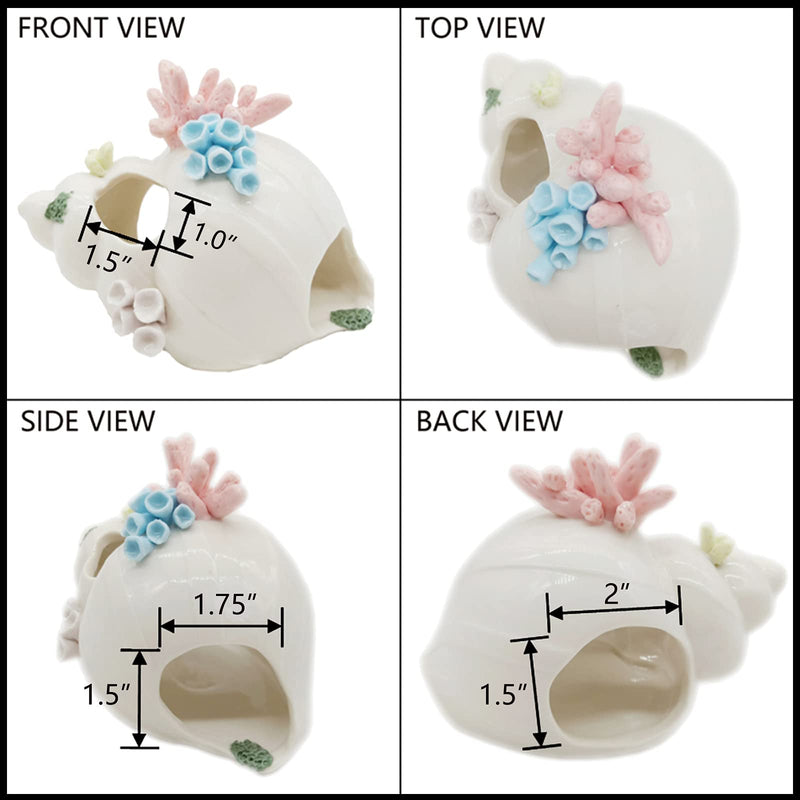 Starryfill Aquarium Decorations White Ceramic Conch Thematic Ornament with Three Holes for Betta Fish Passing or Hiding Safely,Betta Fish Tank for Small and Medium Fish - BeesActive Australia