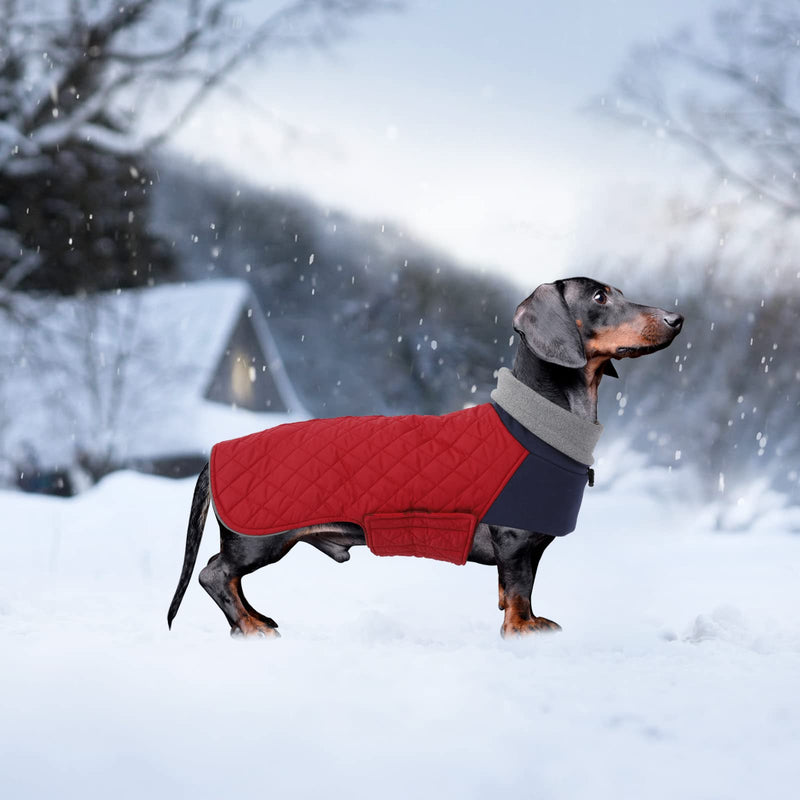 Geyecete Dachshund Coat,Dachshund Winter Coat,Warm Dachshund Coat Waterproof Windproof, High Neckine String Holes Miniature Dachshund Jacket for Small Dog Large Red - BeesActive Australia