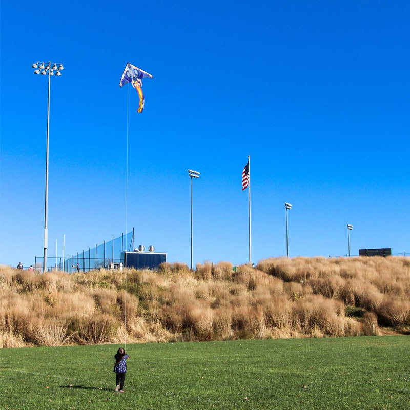 [AUSTRALIA] - Mint's Colorful Life Airplane Kite for Kids & Adults Easy to Fly 