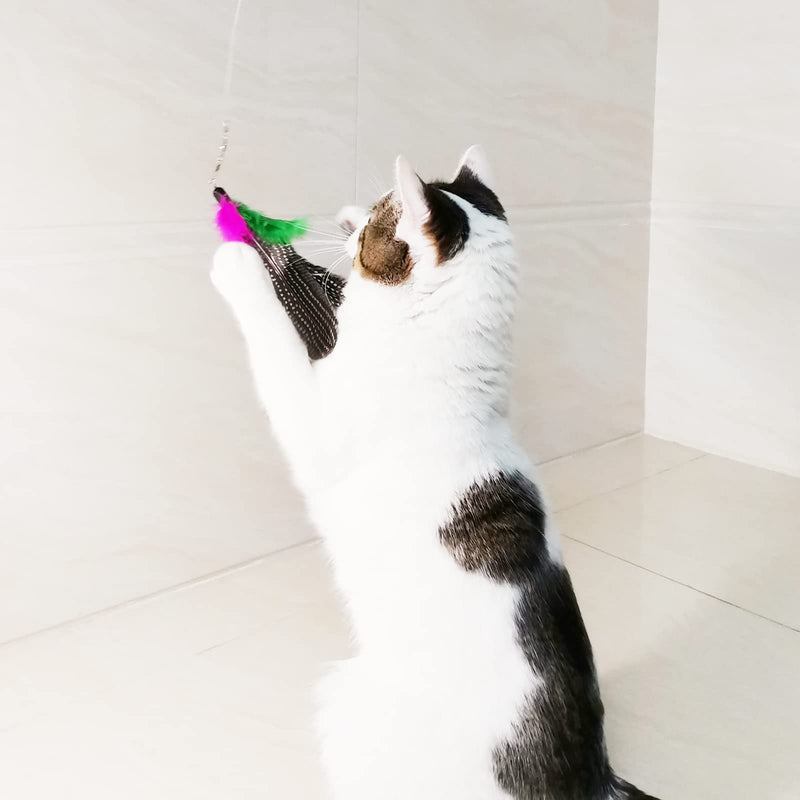 Cat Feather Toy Replacement Cat Toy Wand Teaser Refills, Natural Bird Feather Worm Refills for Indoor Cats AA-8PCS Feathers Refills - BeesActive Australia