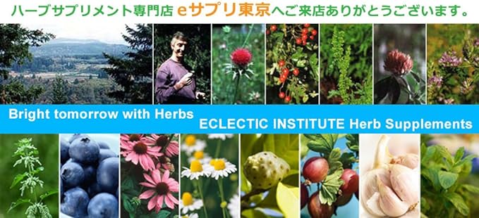 Eclectic St. John's Wort FFD45 (St. John's Wort Fresh Freeze-Dried 45 Capsules) - BeesActive Australia