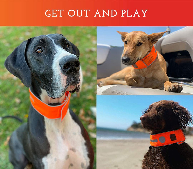 SPOT THE DOG! Reflective Collar Band Safety Apparel for All Dogs - Easy Fastening Closure, High Visibility Fluorescent Orange X-Large - BeesActive Australia