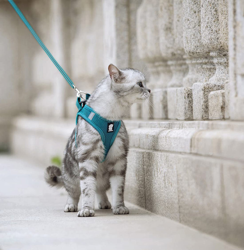 FDOYLCLC Cat Harness and Leash Set for Walking Escape Proof, Step-in Easy Control Outdoor Jacket, Adjustable Reflective Breathable Soft Air Mesh Vest for Small, Medium, Large Kitten Large (Chest: 15.7" - 17.7") Turquoise - BeesActive Australia
