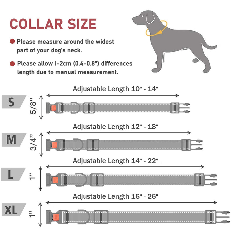 Reflective Dog Collar with Safety Locking Buckle, Adjustable Soft Neoprene Padded Breathable Nylon Pet Collar for Small Medium Large Dogs, 4 Sizes Sky Blue Small :Width 5/8",Neck 10-14" - BeesActive Australia