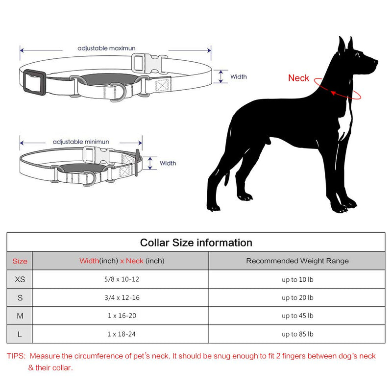 PLUTUS PET Reflective Martingale Collar with Quick Snap Buckle,No Pull Dog Choker Collar for Small Medium Large Dogs M:16"-20" Purple - BeesActive Australia