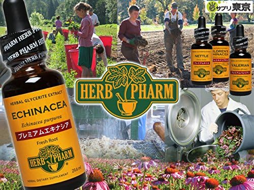 Herb Pharm Herb Supplement Premium Echinacea Tincture Liquid 29.6ml - BeesActive Australia