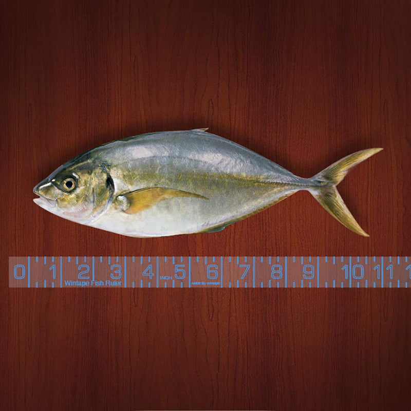 Edtape Adhesive Transparent Fish Ruler - 40 Inch Fishing Measuring Tape -  Fish Measuring Tape for Fishing Boat, Kayak, Cooler, Workbench - Waterproof