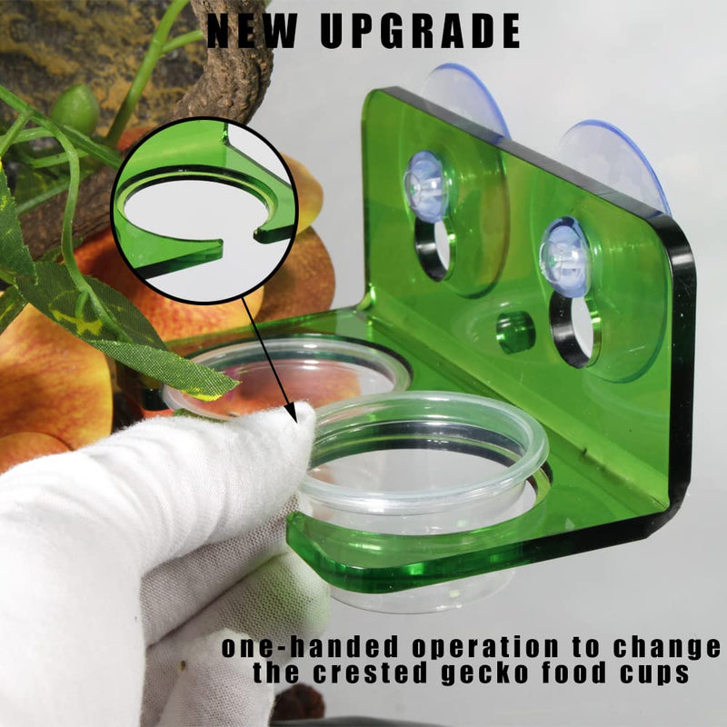 WOLEDOE Crested Gecko Feeding Ledge with 20 Pcs 0.5oz Bowls, Reptile Food Cups and Water Dish fit Chameleon Lguana Lizards - BeesActive Australia