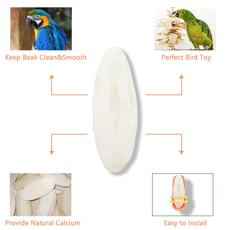 2 Pcs Large Cuttlebone for Birds Parrots, Cuddle Bones with Plastic Holder for Cockatiels Parakeets Budgies Finches, Extra Large Cuttlefish Bone About 6.29" Orange - BeesActive Australia