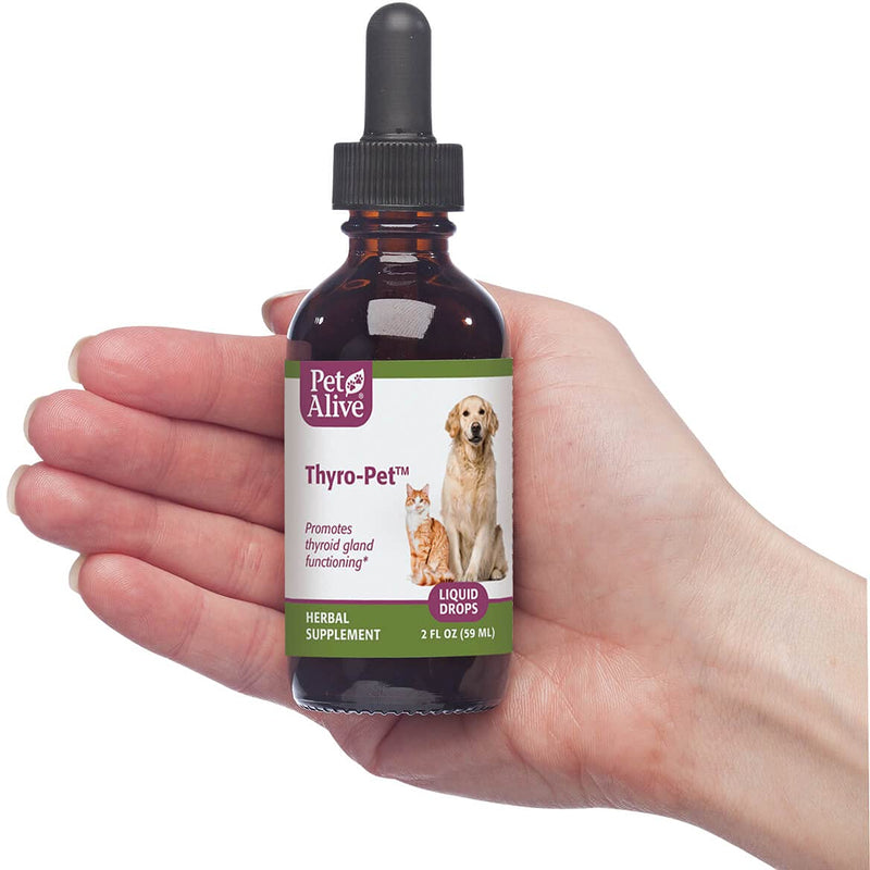 All Natural Herbal Supplement Promotes Normal Thyroid Gland Functioning in Dogs and Cats - Helps Address Common Hypothyroidism Symptoms in Pets One Size Fits All - BeesActive Australia