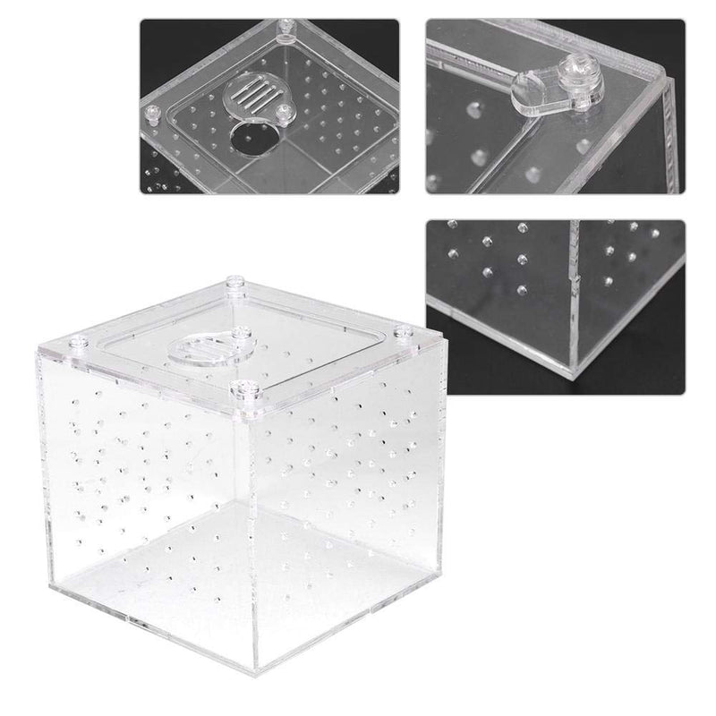 ViaGasaFamido Transparent Reptile Insect Viewing Box, Live Food Storage Acrylic Reptile Breeding Box for Spider Crickets Snails Tarantulas Geckos 3.9x3.9x3.5inch - BeesActive Australia