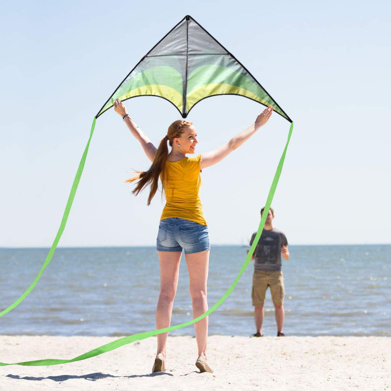 Mint's Colorful Life Delta Kite for Kids & Adults, Extremely Easy to Fly Kite, Best Kite for Beginner Black Green - BeesActive Australia