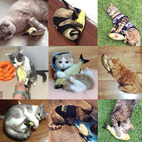 HAPY SHOP Catnip Toys 5 Pack - Simulation Fish Shape Realistic Fluffy Catnip Doll Interactive Pets Pillow Chew Bite Supplies for Cat Kitten Kitty - BeesActive Australia