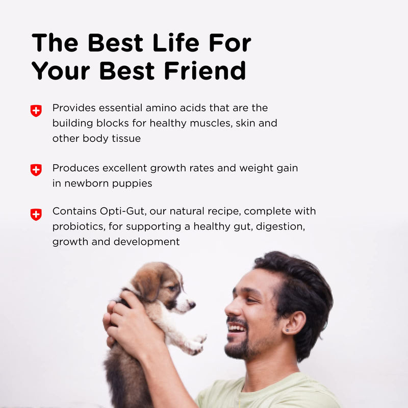 Nutri-Vet Milk Replacement For Puppies | Healthy Gut Support with Probiotics | 12 Ounces - BeesActive Australia